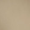 pvcfeltrobeige81